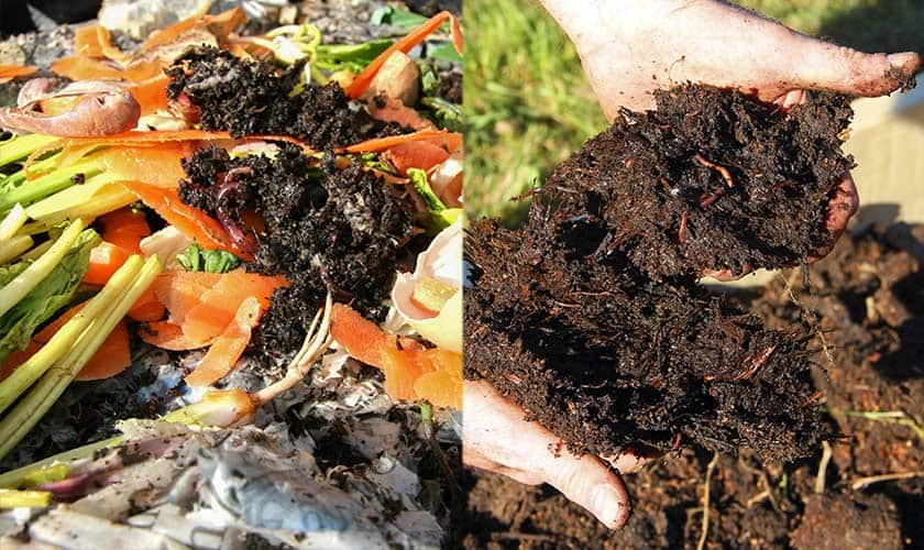 what-is-compost