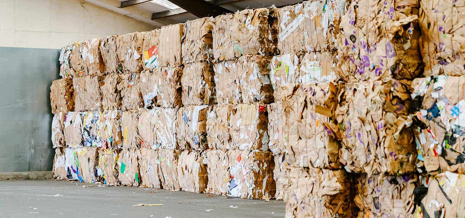 Sprießen Fähre Keller cardboard recycling prices per ton Geheimnis